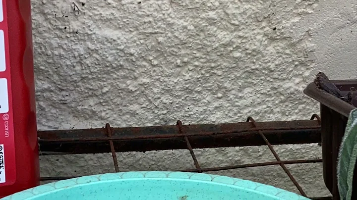 My gardening adventures