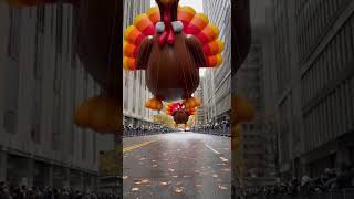 When The Turkeys Fight Back