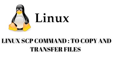 Linux command SCP | Transfer your files on Linux or Ubuntu | Tutorial