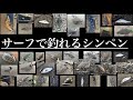 【おすすめルアー】サーフで釣れるシンキングペンシル。おすすめと使い方。