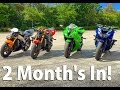 Progression - 2 Month's Stunt Riding