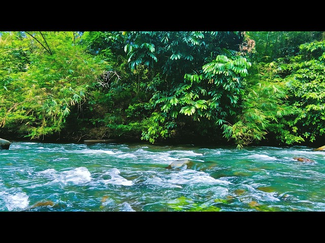 Cozy Ember ASMR 🌙 Peaceful River Flow, No Talking, No Music, Sleep & Relax