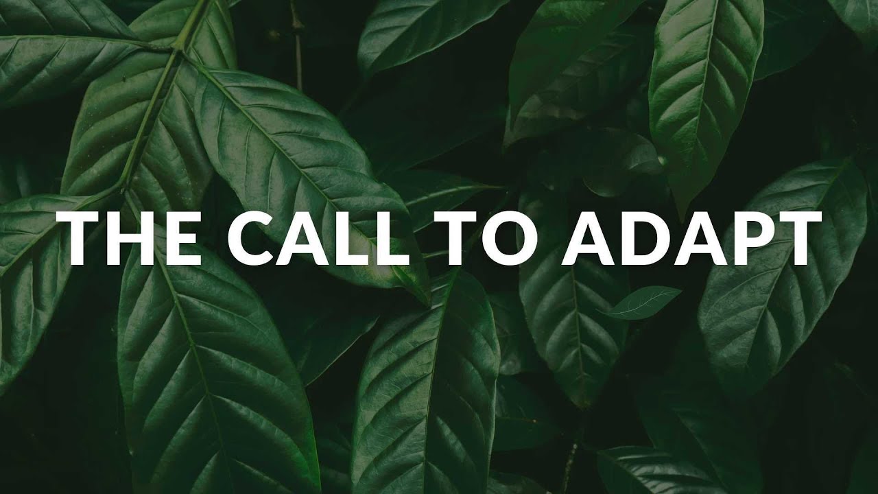 Join Us Live At The River! - The Call To Adapt - YouTube