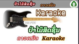 ປ່າໄມ້ສົດຊືນ | ດາວເໜືອ Karaoke | คาราโอเกะ ป่าไม้สดชืน pa mai sod xuen ຄາຣາໂອເກະ