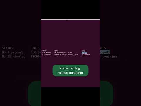 start docker container mongodb. Connect from shell. #mongodb #mongosh #docker #shorts