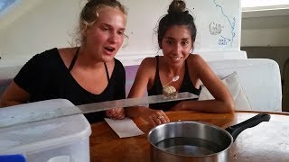Ep.172 Olympics with Hermit Crabs