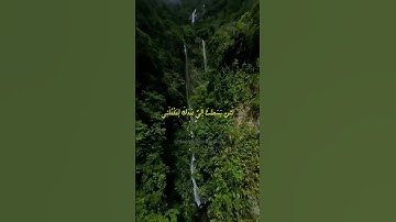 🌸 آيات من سورة المائدة بصوت الشيخ سيد سعيد تلاوة خاشعة مؤثرة #قرآن #سورة_المائدة #تلاوة #اكسبلور