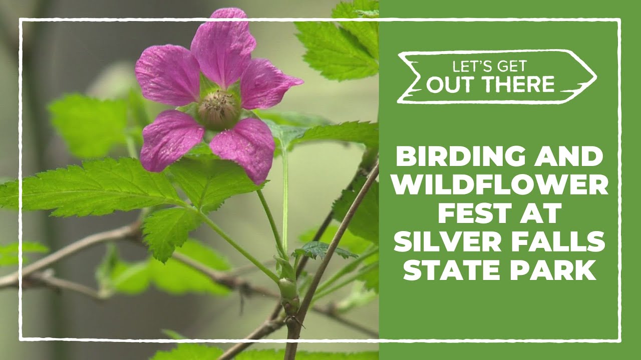 Silver Falls State Park Mother's Day Birding and Wildflower Festival underway