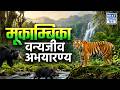 Mookambika Wildlife Sanctuary | पश्चिमी घाट का जैव विविधता हॉटस्पॉट, कर्नाटक | NEXT IAS HINDI