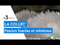 Ref:GAJHpRZiCFo Collection : le passionn� de fossiles et min�raux