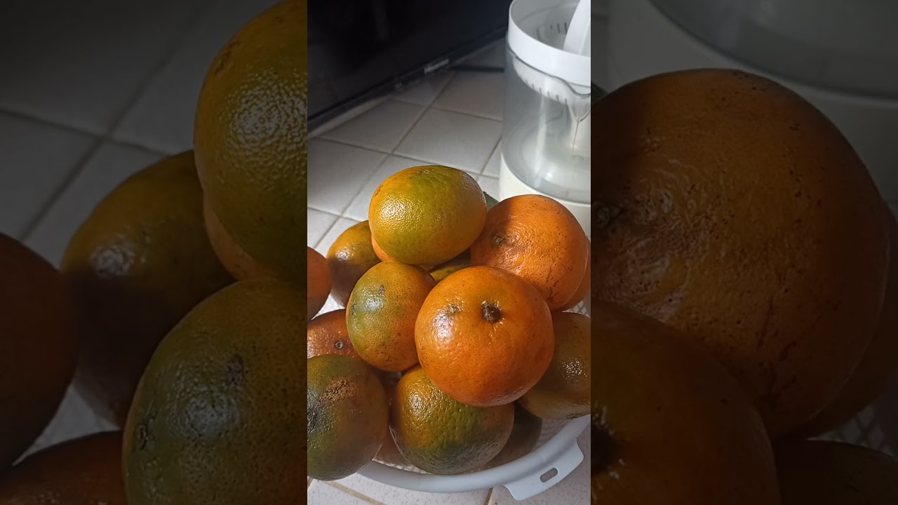 Cuántas mandarinas o naranjas se necesitan para un litro de jugo para