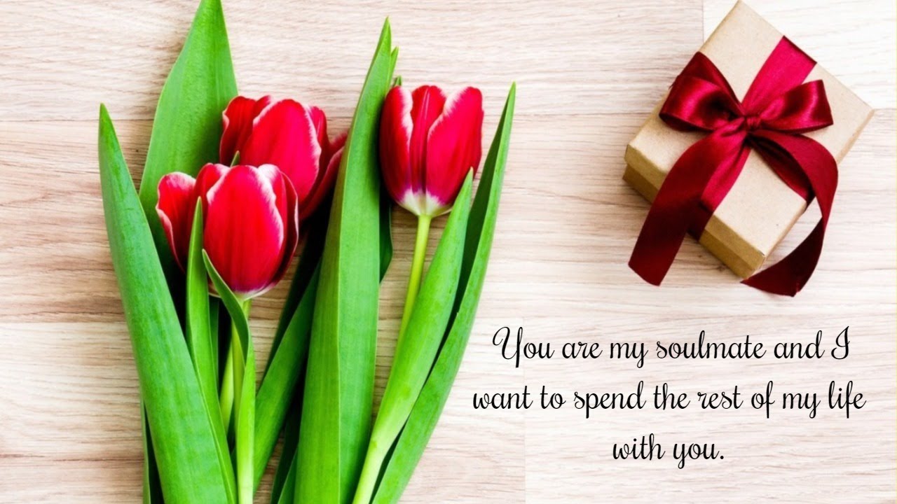 You are my soulmate and I want to spend the rest of my life with you ...