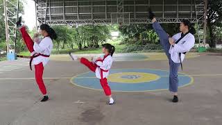 Taekwondo Foundation Form No.2