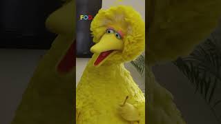The time Big Bird got a summer internship at Funny Or Die
