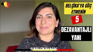 Belçika'da Yaşamanın 5 Dezavantajı! Hayatınızın Gerçekleri Değişecek! 🇧🇪