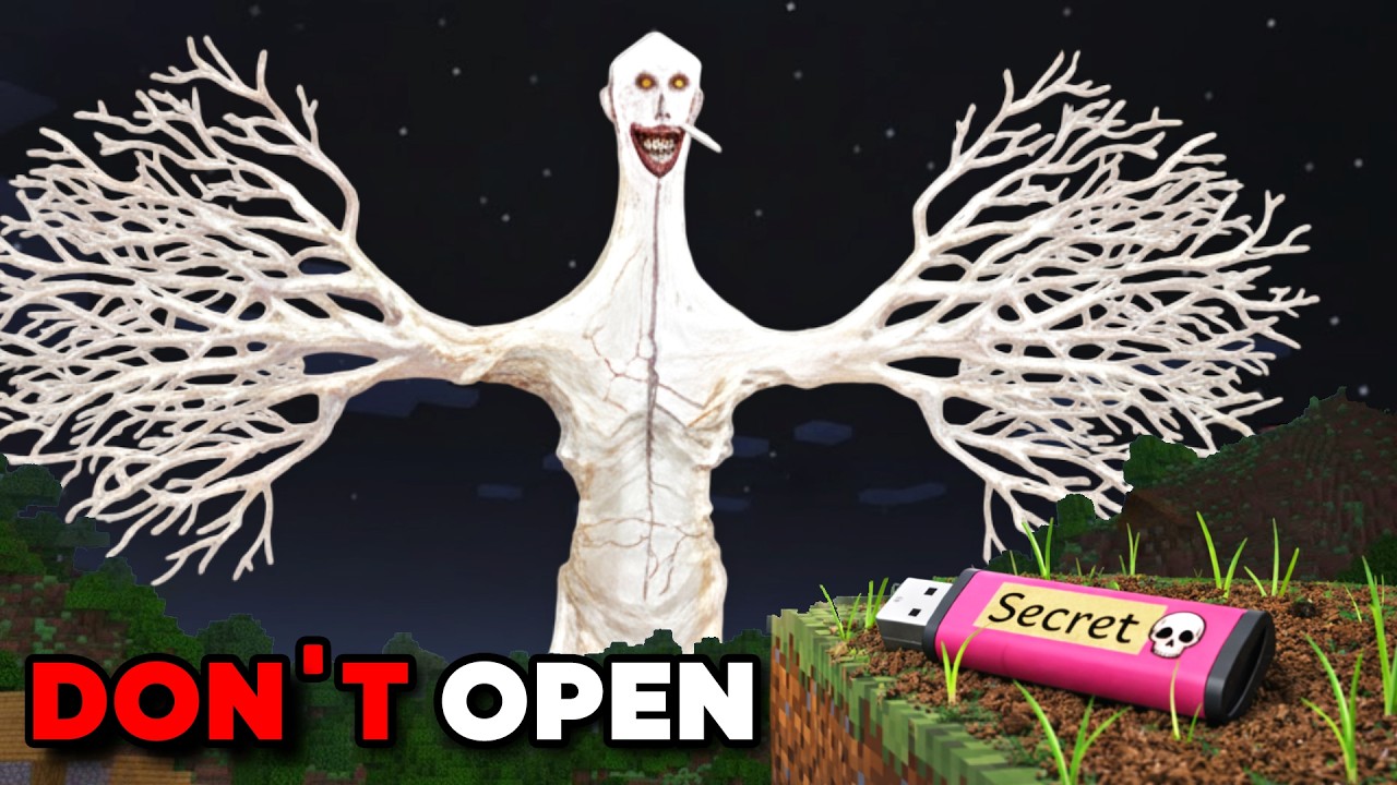 I Found a Disturbing Minecraft PENDRIVE