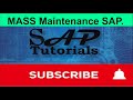 3302 mass  mass maintenance in sap mm ecc  s4 hana