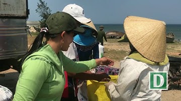 Mùa cào ốc gạo ở Quảng Ngãi