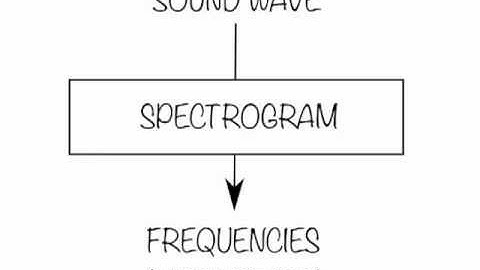 Episode 5: Consonance and Dissonance