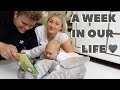 WEEK IN THE LIFE | House updates + Newborn Life | James and Carys