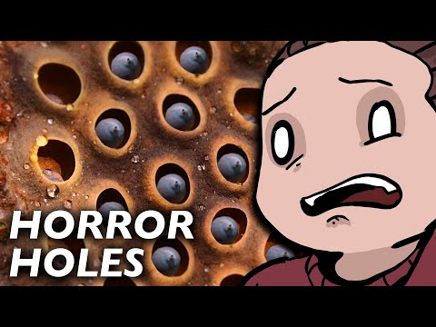 Video: Trypophobia: Is It Real And What Are Triggers?