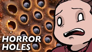 Why Trypophobia Is Not Real and How to Cure It
