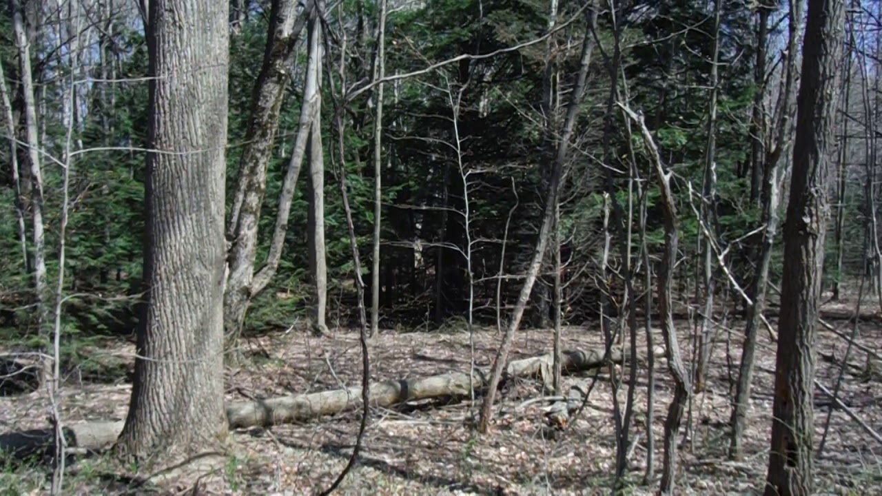 Laketown Township Holland Michigan Saugatuck Michigan parcel for sale