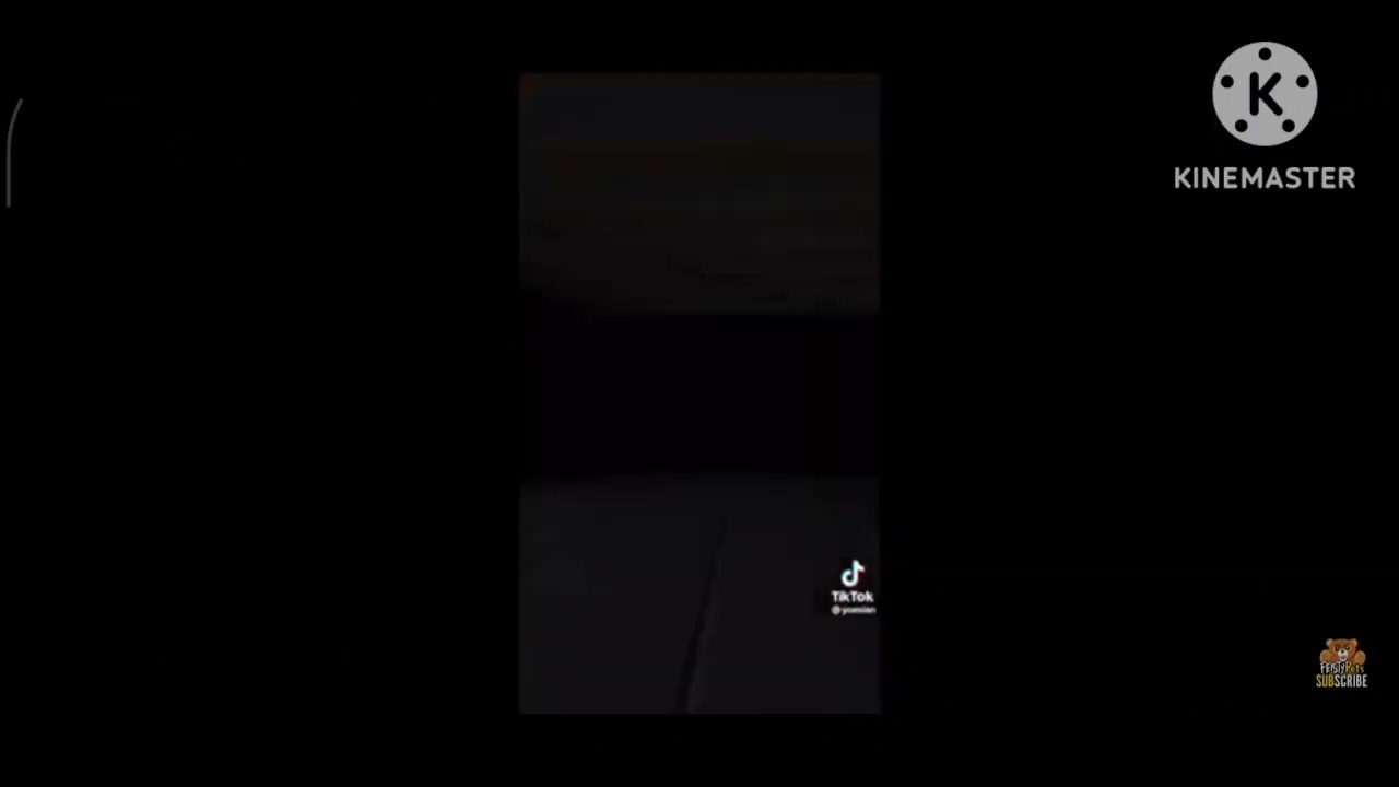 Grandmaster Funk screaming For attack sir growls a Lot