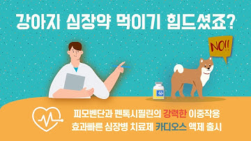 차세대 강아지 심장약 카디오스 출시!