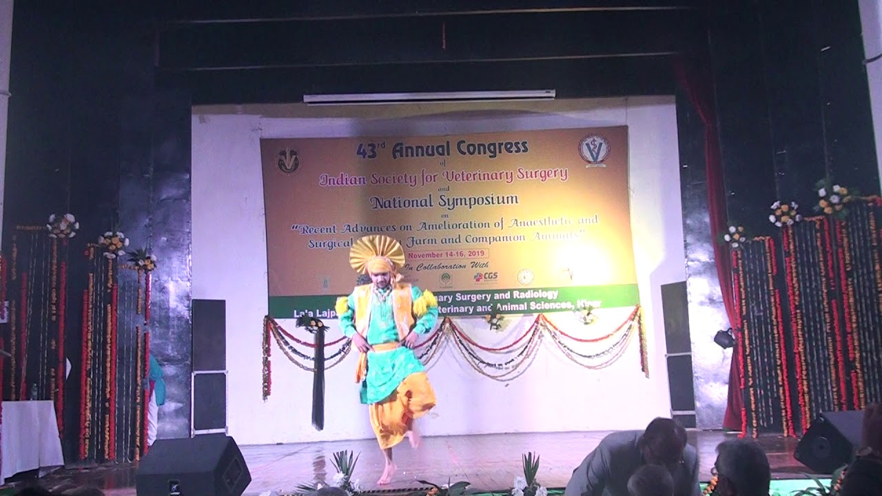 ISVS-2019, Luvas hisar Video-7