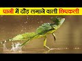 जानवरों की ये काबिलियत देखकर होश उड़ जाएंगे | Most Amazing Abilities of Animals