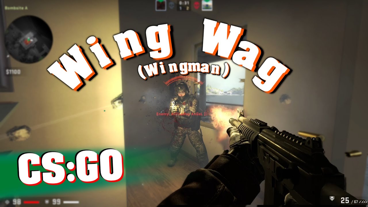 CSGO Wing Wag YouTube