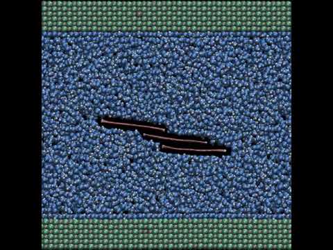 Liquid phase exfoliation of graphene: insights from molecular dynamics simulations