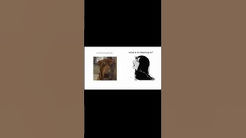 The Lyrics💀 #memes #funny #viralvideo #relateable #sigma