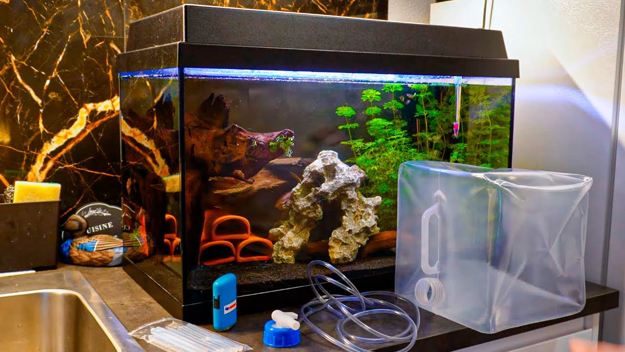 UNBOXING DE UN SISTEMA DE LLUVIA PARA MI ACUARIO DE 50L YouTube unboxing-de-un-sistema-de-lluvia-para-mi-acuario-de-50l-youtube