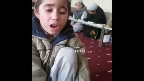 طفل يتلو سورة المزمل بصوت يبكي الحجر