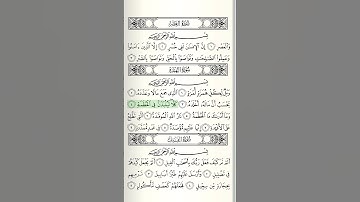 سورة الهمزة _فضيلة شيخ ياسر سلامة (حدر)