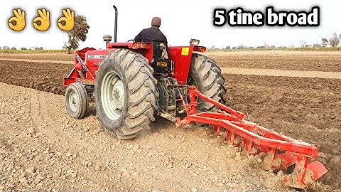 Mf 385 with 5 tine broad cultivator very powerful performance 💪💪💪