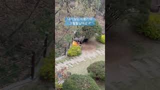내가 날린 비행기 타고 훨훨 날아요~ #비행기 를 타요