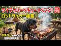 ライブでバーベキューリベンジ！ ロットワイラー権蔵 8月14日5時より配信