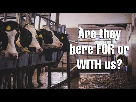 Are non-human animals here FOR or WITH us? | Animal Save Movement