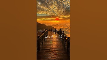 ﴿وما الحياة الدنيا إلا لعب ولهو﴾ | تلاوة مؤثرة للشيخ عبد الرحمن مسعد #راحة_نفسية
