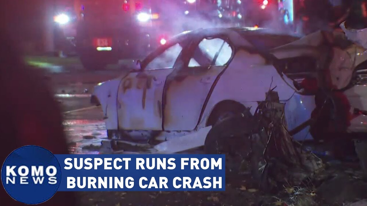 Fleeing driver pulled from fiery wreckage after crashing into tree ...