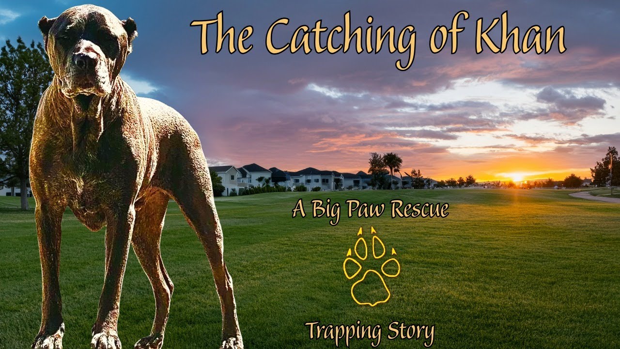 The Catching Of Kahn