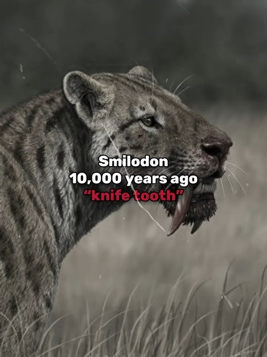Prehistoric Creatures That We Should Not Bring Back... #prehistoric