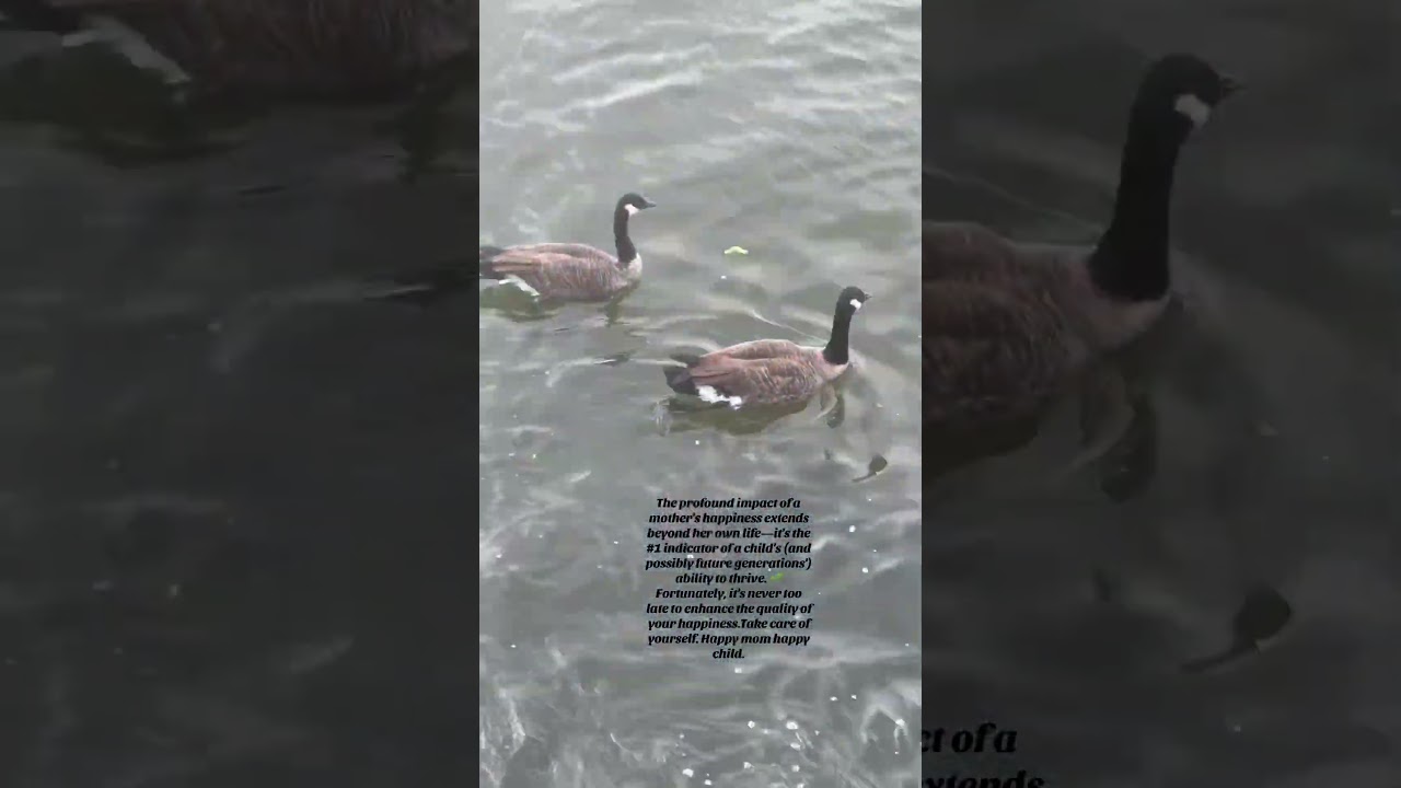 The profound impact of a 