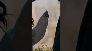 Komşu Kızı Dizi 1. Bölüm Özür Dilerim Destek Için Abone Olunuz