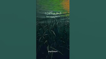 سورة إبراهيم القارئ #خالد_الجليل #فلسطين#السعودية#الجزائر#المغرب#مصر#تونس#ليبيا#موريتانيا#اكسبلور