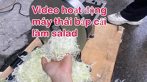 Máy thái bắp cải làm salad đa năng, bào hoa chuối, măng tươi, thịt đông lạnh giò chả