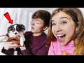 I Surprised My Boyfriend with a PUPPY! (Cute Reaction)